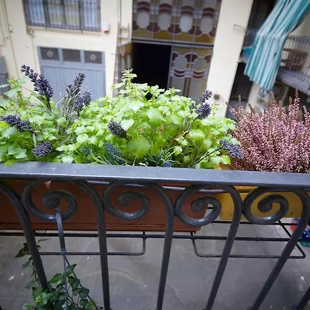 Dreaming * Turin