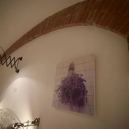 Apartment Dreaming